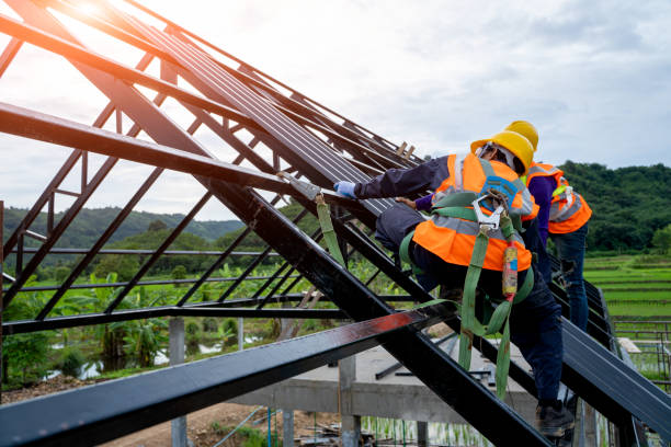 Best Roof Gutter Cleaning  in Beaverton, MI