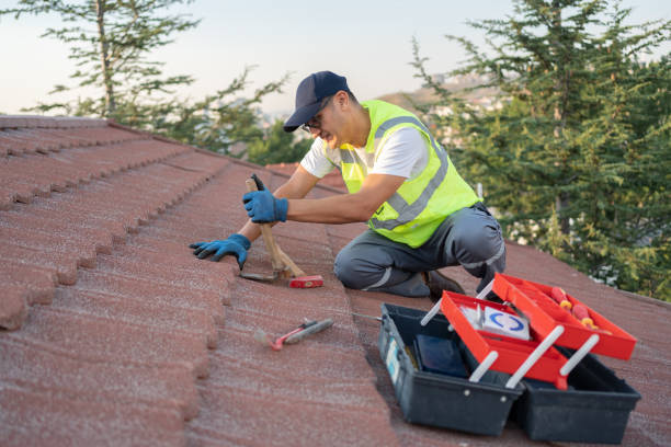 Best Commercial Roofing Services  in Beaverton, MI